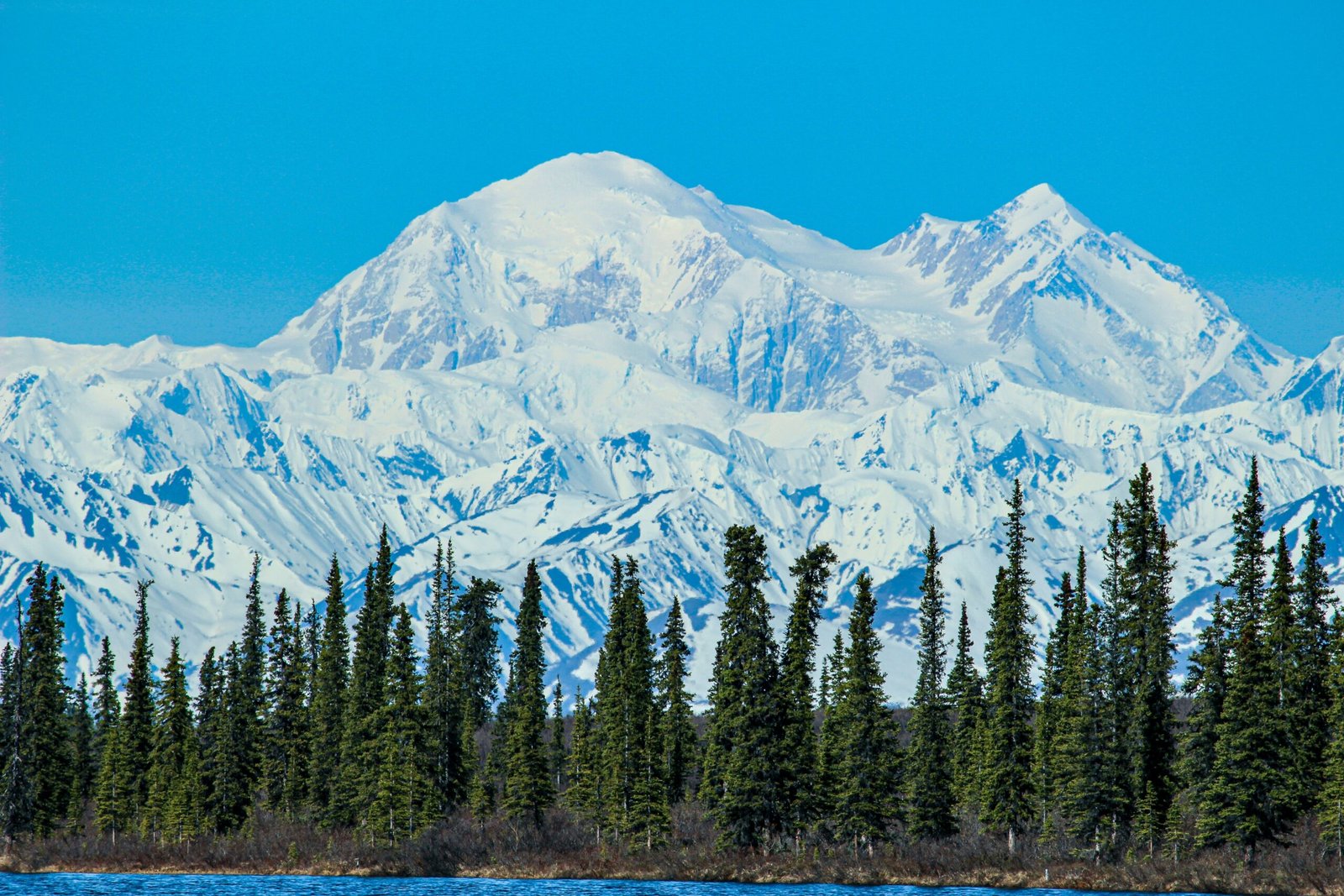 Exploring the Majestic Beauty of Denali: A Scenic Spot